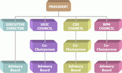 USA India Chamber of Commerce Organization Structure